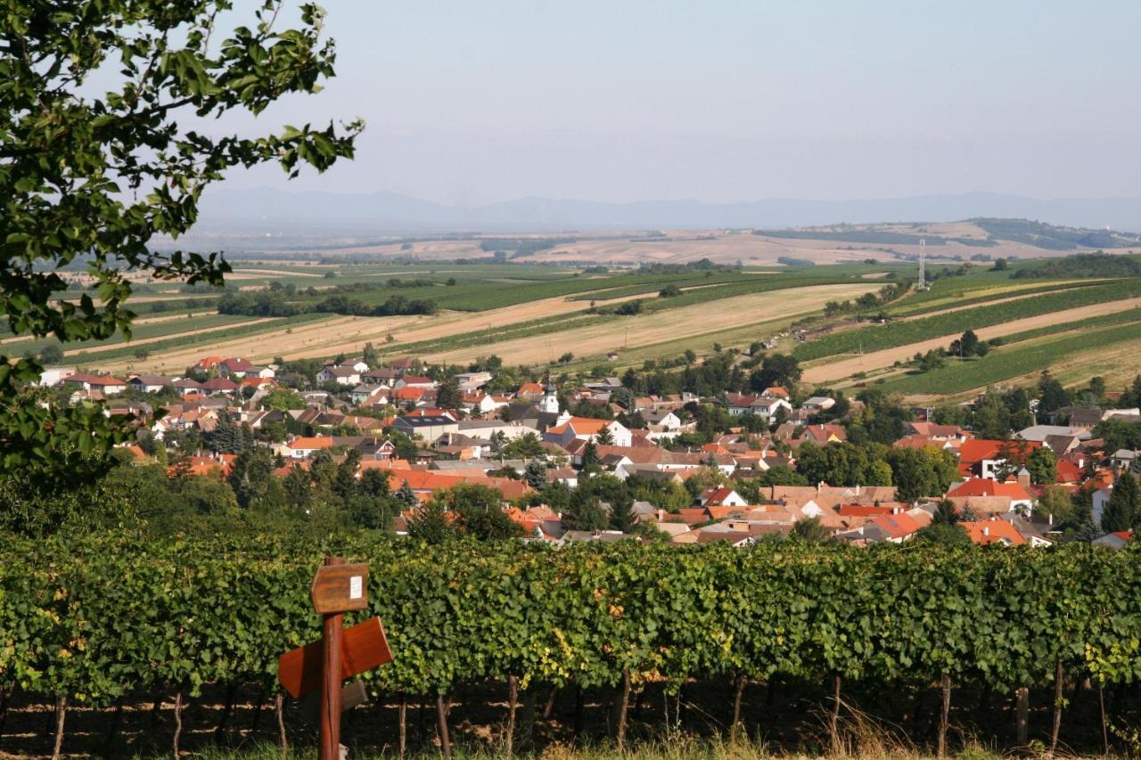 Weingut Zur Schlafmuetze Otel Herrnbaumgarten Dış mekan fotoğraf