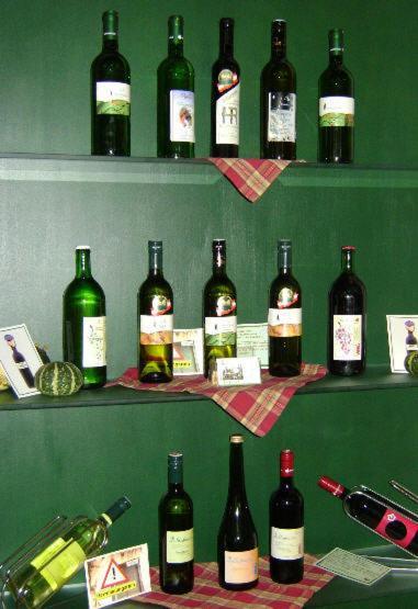 Weingut Zur Schlafmuetze Otel Herrnbaumgarten Dış mekan fotoğraf